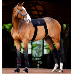 Stinchiere terapeutici Horseware con luce rossa a LED Nero / nero