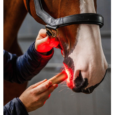Penna LED rossa per terapia equina Horseware Penna LED rossa per terapia equina Horseware