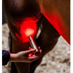 Penna LED rossa per terapia equina Horseware Penna LED rossa per terapia equina Horseware