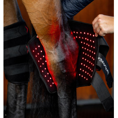 Protettore del garretto Horseware Therapy con luce LED rossa Nero / nero Protettore del garretto Horseware Therapy con luce LED rossa Nero / nero