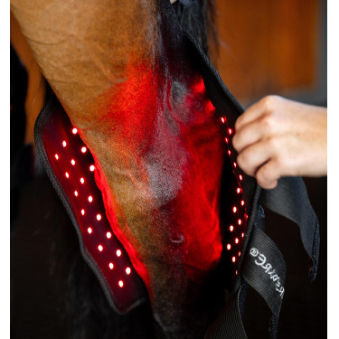 Protettore del garretto Horseware Therapy con luce LED rossa Nero / nero Protettore del garretto Horseware Therapy con luce LED rossa Nero / nero