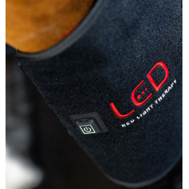 Protettore del garretto Horseware Therapy con luce LED rossa Nero / nero Protettore del garretto Horseware Therapy con luce LED rossa Nero / nero