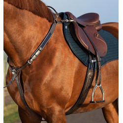 Pettorale Horseware Micklem con martingala Marrone