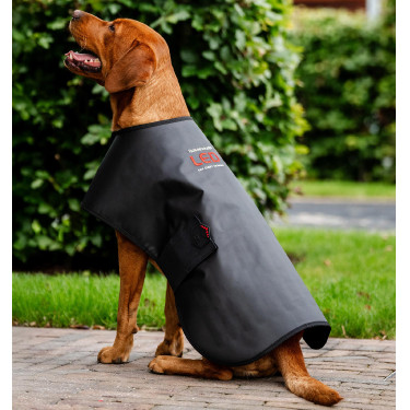 Cappotto LED terapeutico per cani Horseware | Equitazione
