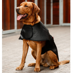 Cappotto LED terapeutico per cani Horseware | Equitazione