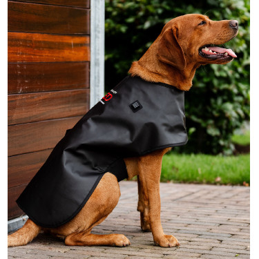 Cappotto LED terapeutico per cani Horseware | Equitazione