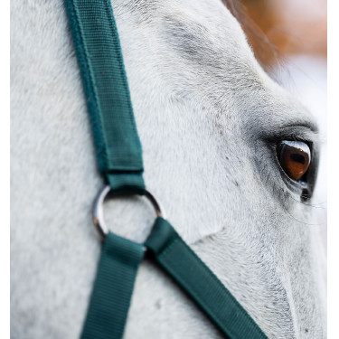 Capestro e lunghina Horseware Verde dinastia