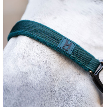Capestro e lunghina Horseware Verde dinastia