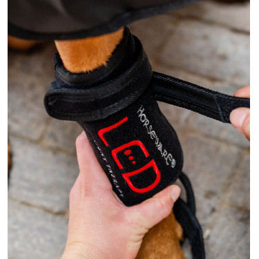 Ghette LED rosse per cane Horseware – terapia e benessere Ghette LED rosse per cane Horseware – terapia e benessere