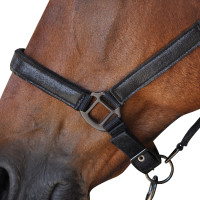 Set Cavezza + Lunga Canter Nero Set Cavezza + Lunga Canter Nero