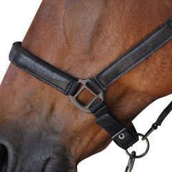 Set Cavezza + Lunga Canter Set Cavezza + Lunga Canter