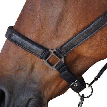 Set Cavezza + Lunga Canter Set Cavezza + Lunga Canter