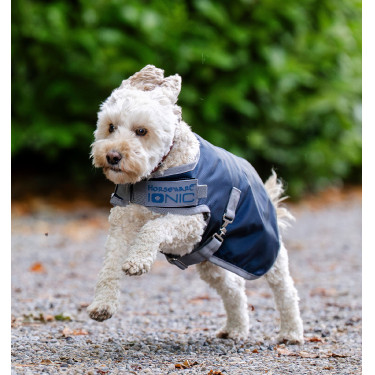 Coperta terapeutica per cane Horseware Ionic 50g Blu imperiale / argento e blu navy Coperta terapeutica per cane Horseware Ionic 50g Blu imperiale / argento e blu navy