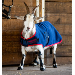 Coperta in pile per capra Horseware | Equitazione
