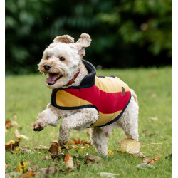 Coperta in pile Horseware Newmarket per cane Oro bianco