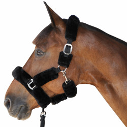 Capezza da trasporto Canter