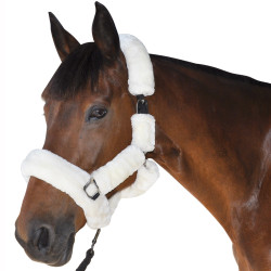 Capezza da trasporto Canter Naturale Marrone