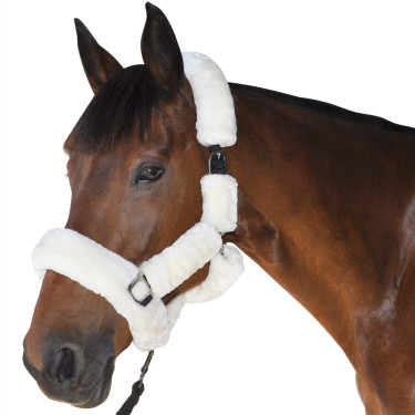 Capezza da trasporto Canter Naturale Marrone