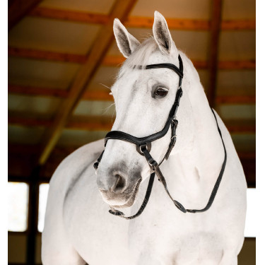 Briglia senza morso Horseware Micklem Nero