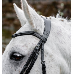 Testiera pony Horseware Flash per equitazione Testiera pony Horseware Flash per equitazione