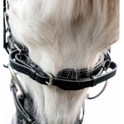 Testiera pony Horseware Flash per equitazione Testiera pony Horseware Flash per equitazione