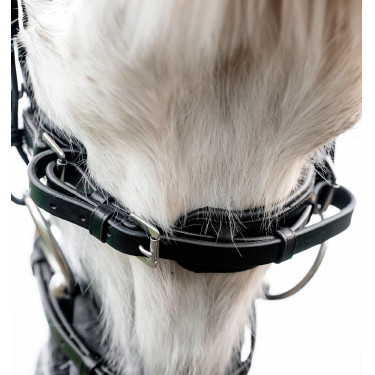 Testiera pony Horseware Flash per equitazione Testiera pony Horseware Flash per equitazione