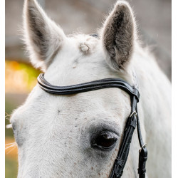 Testiera pony Horseware Flash per equitazione Testiera pony Horseware Flash per equitazione