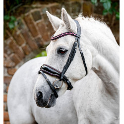 Briglia per pony Horseware Diamante Flash Nero / rosa Briglia per pony Horseware Diamante Flash Nero / rosa