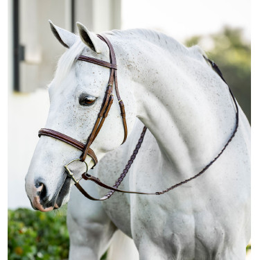 Briglia pony da equitazione Horseware Cavesson con redini