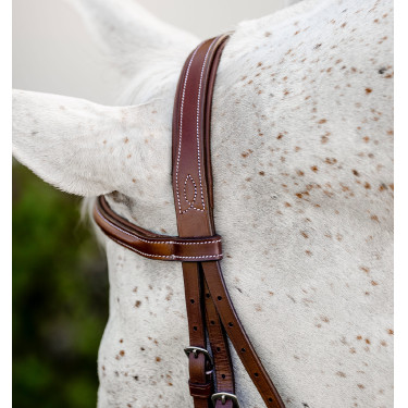 Briglia pony da equitazione Horseware Cavesson con redini