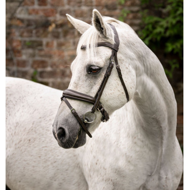 Cavezzone per pony Horseware Cavesson Marrone Cavezzone per pony Horseware Cavesson Marrone