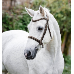 Cavezzone per pony Horseware Cavesson Marrone Cavezzone per pony Horseware Cavesson Marrone