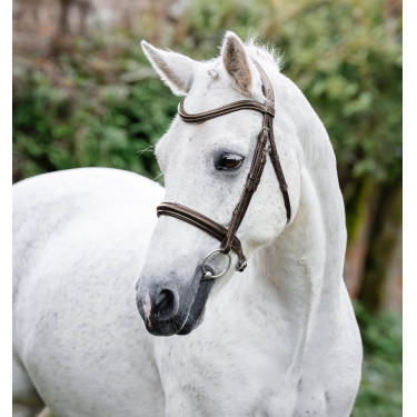 Cavezzone per pony Horseware Cavesson Marrone Cavezzone per pony Horseware Cavesson Marrone