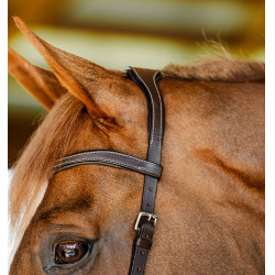 Filet Horseware Micklem Competition Havana scuro Marrone
