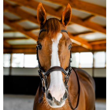 Filet Horseware Micklem Competition Havana scuro Marrone