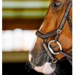 Filet Horseware Micklem Competition Havana scuro Marrone