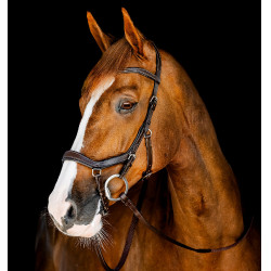 Filet Horseware Micklem Competition Havana scuro Marrone