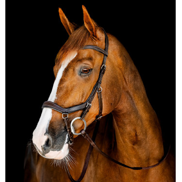 Filet Horseware Micklem Competition Havana scuro Marrone