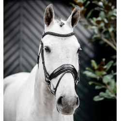 Briglia Horseware Diamante con chiudibocca flash Nero / nero Briglia Horseware Diamante con chiudibocca flash Nero / nero