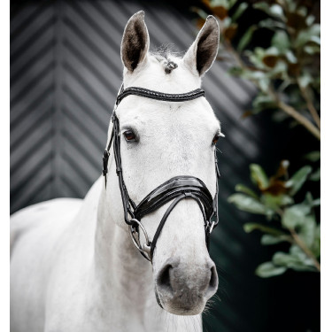 Briglia Horseware Diamante con chiudibocca flash Nero / nero Briglia Horseware Diamante con chiudibocca flash Nero / nero