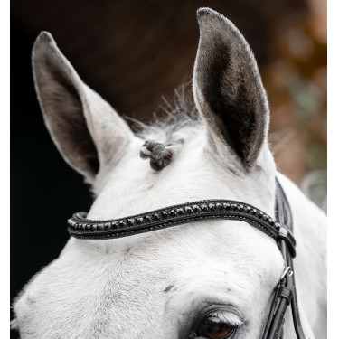 Briglia Horseware Diamante con chiudibocca flash Nero / nero Briglia Horseware Diamante con chiudibocca flash Nero / nero
