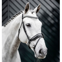 Briglia Horseware Diamante con chiudibocca flash Nero / argento