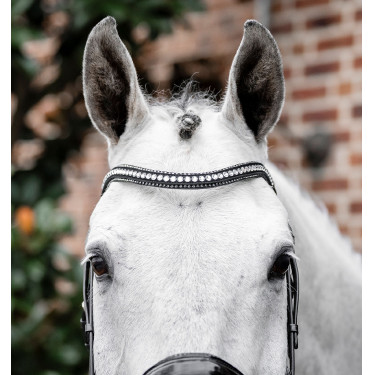 Briglia Horseware Diamante con chiudibocca flash Nero / argento Briglia Horseware Diamante con chiudibocca flash Nero / argento