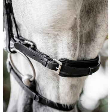 Briglia Horseware Diamante con chiudibocca flash Nero / argento Briglia Horseware Diamante con chiudibocca flash Nero / argento