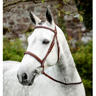 Briglia Horseware Cavesson Hunter con redini Marrone
