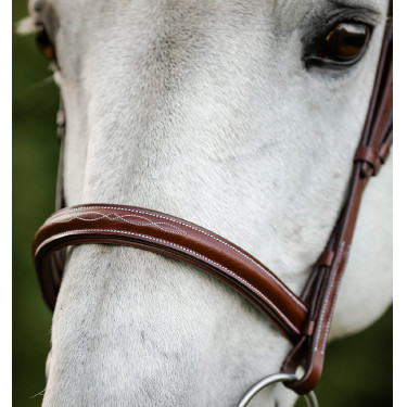 Briglia Horseware Cavesson Hunter con redini Marrone