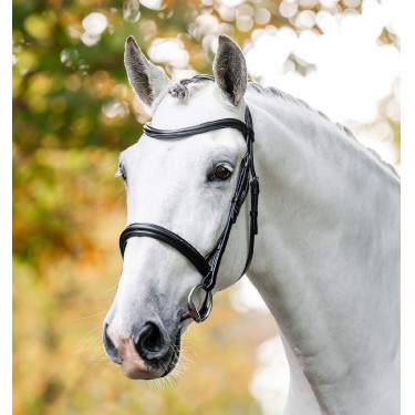 Capezzina Horseware Cavesson Nero