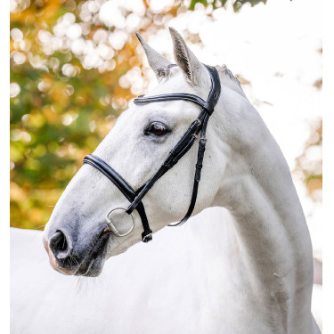 Capezzina Horseware Cavesson Nero