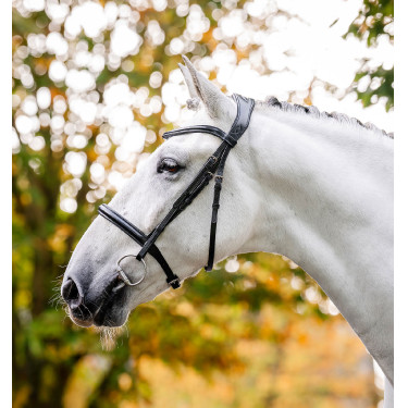 Capezzina Horseware Cavesson Nero
