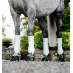 Fasce imbottite Horseware per equitazione | 3 m, pile